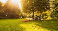 vondelpark cover