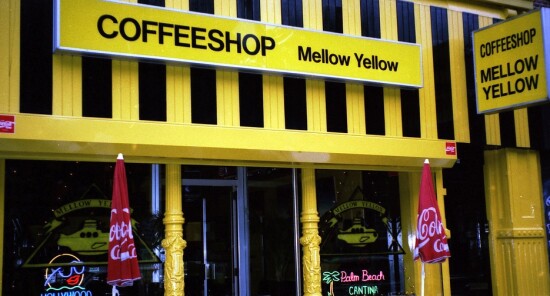 Chiude ad Amsterdam lo storico coffeeshop Mellow Yellow