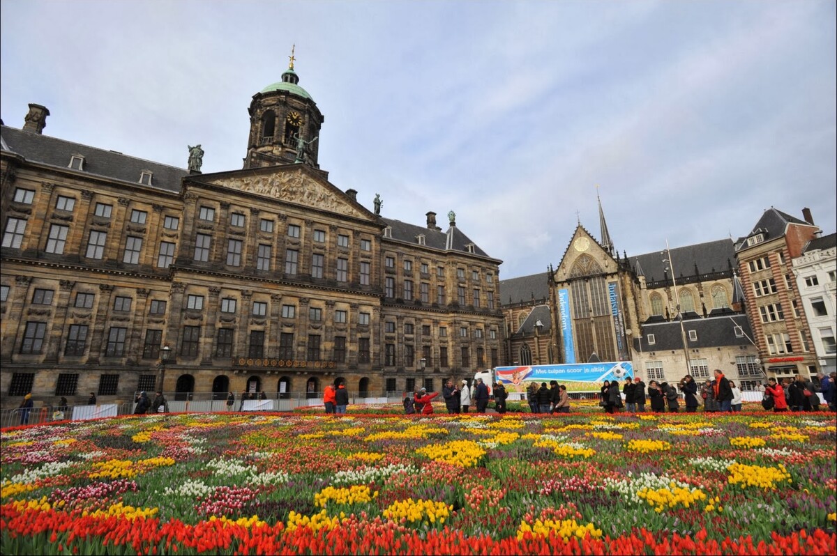 Amsterdam: Offerte e sconti per biglietti salta la coda e tour guidati