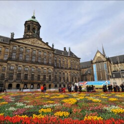 Eventi di Gennaio ad Amsterdam: Appuntamenti festivi, shopping e intrattenimento