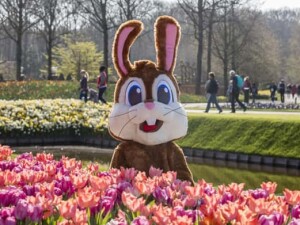 pasqua keukenhof