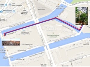 Tra arte e serra hermitage hortus botanicus amsterdam