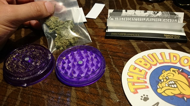the bulldog marijuana
