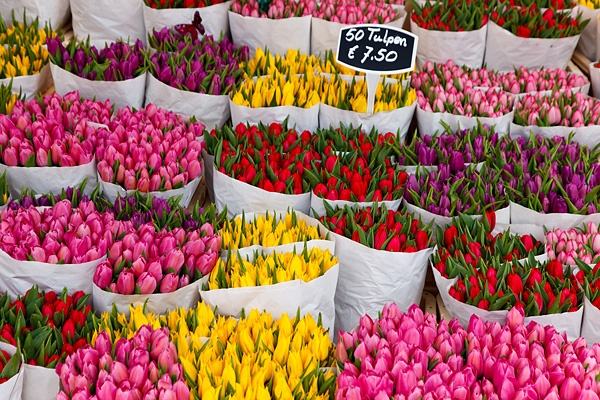 Bloemenmarkt Tulipani